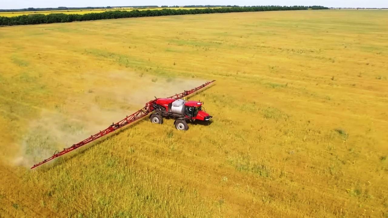 СКО – лидер по посеву масличных культур в Казахстане