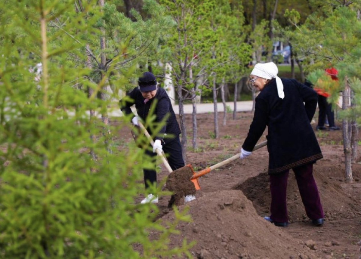 Астана: Более 28 тысяч деревьев и кустарников посадили в районе Байконыр за год