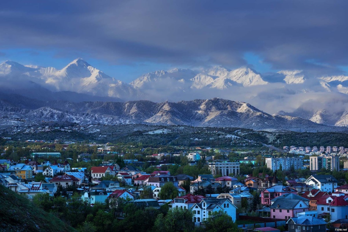 В горах Алматы было незаконно построено 50 объектов