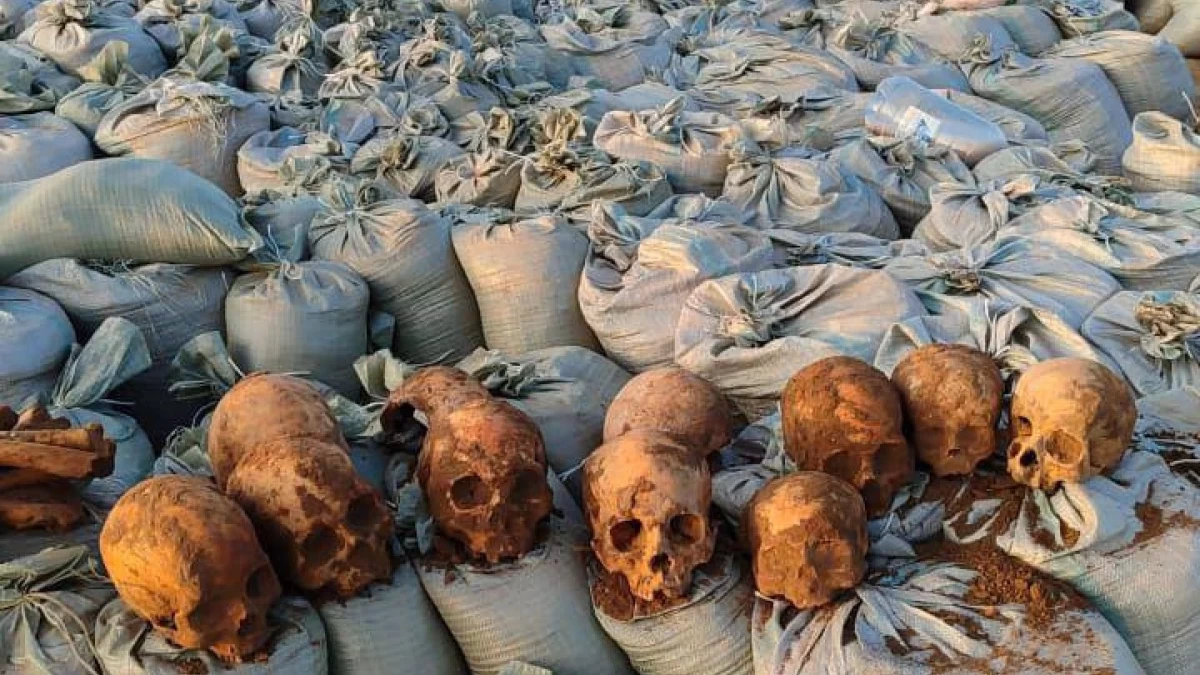 В Атырау найдены черепа и другие останки людей