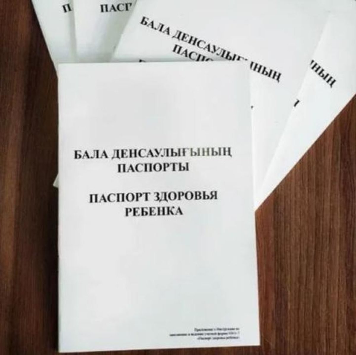 https://ru.newsroom.kz/82418/pasport-zdorovya-rebenka-perevoditsya-v-elektronnyy-format
