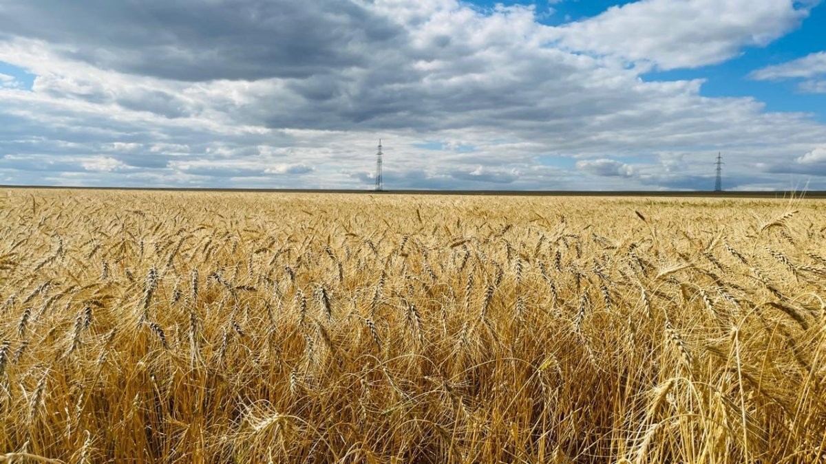 Рекордный урожай собрали в Караганде