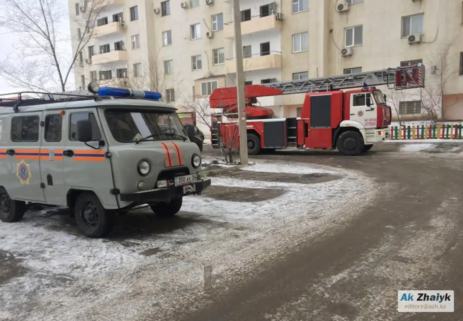 11-летняя девочка убила свою бабушку...