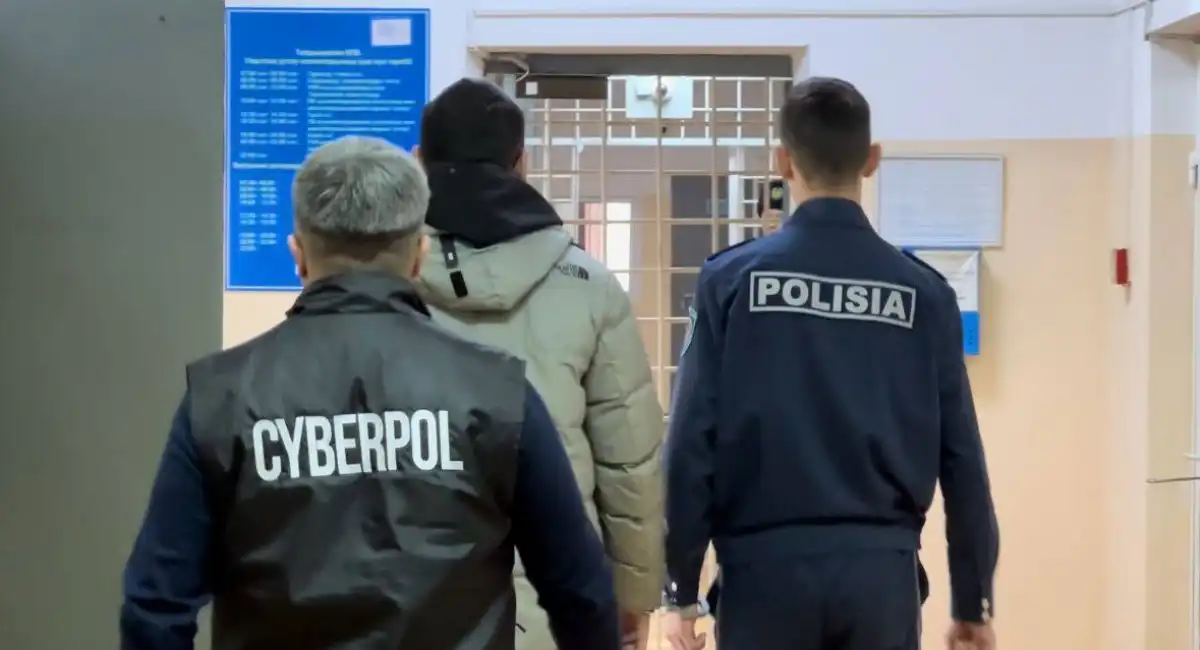Мошенничество под видом госпрограмм и льгот: как не стать жертвой обмана