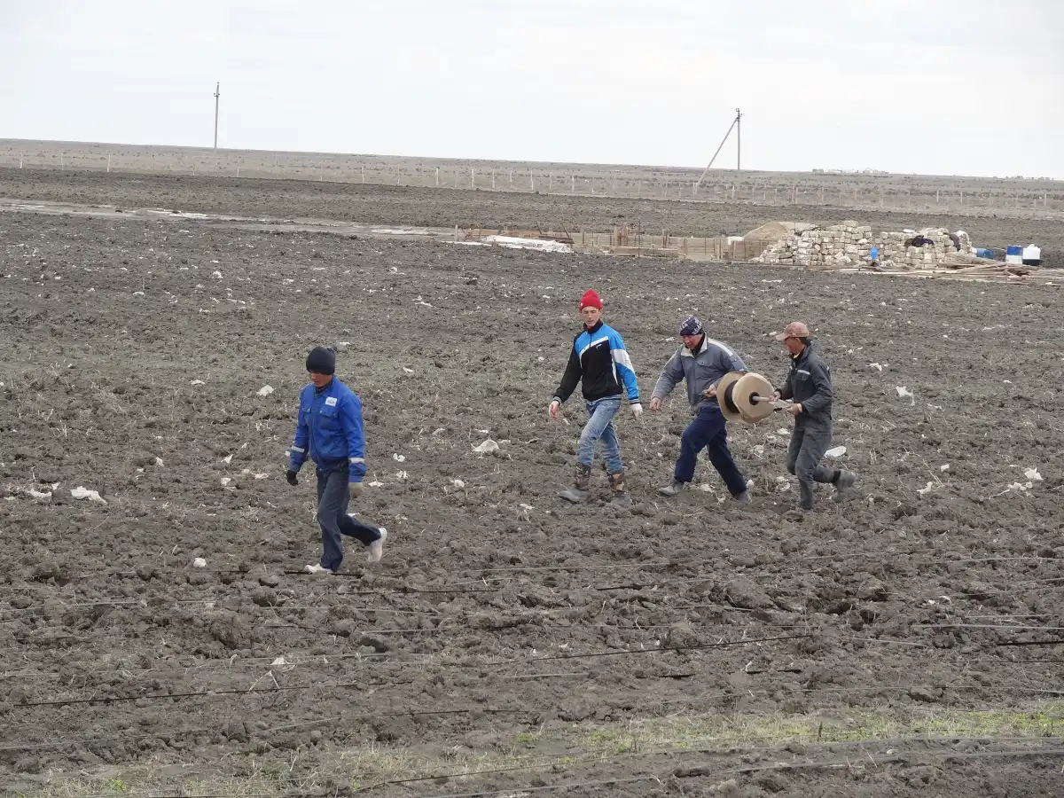 В Казахстане завершена посевная кампания