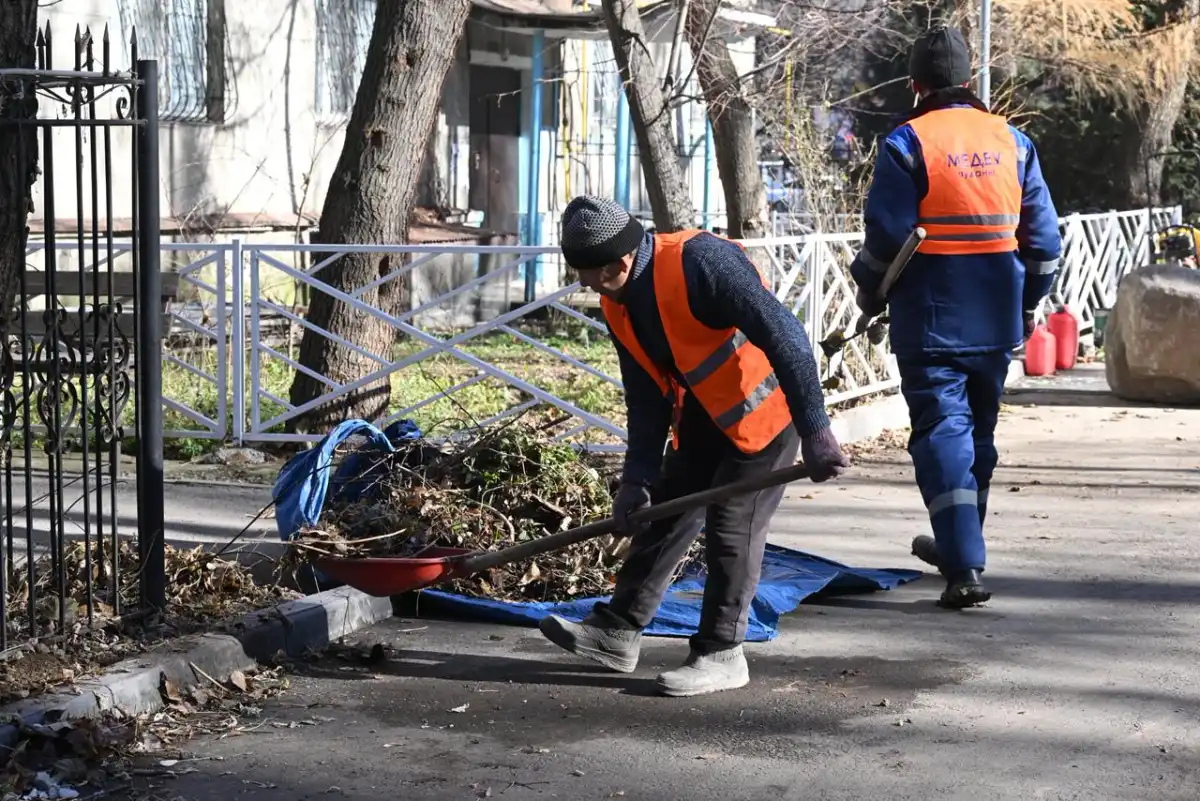 «Таза Қазақстан»: в Алматы планируется высадить 13 тыс. крупномерных деревьев