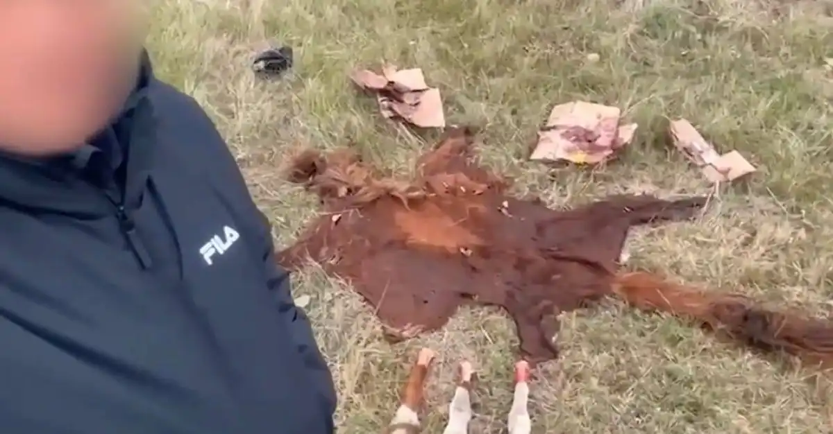 В пригороде столицы задержана преступная группа... (+ВИДЕО)