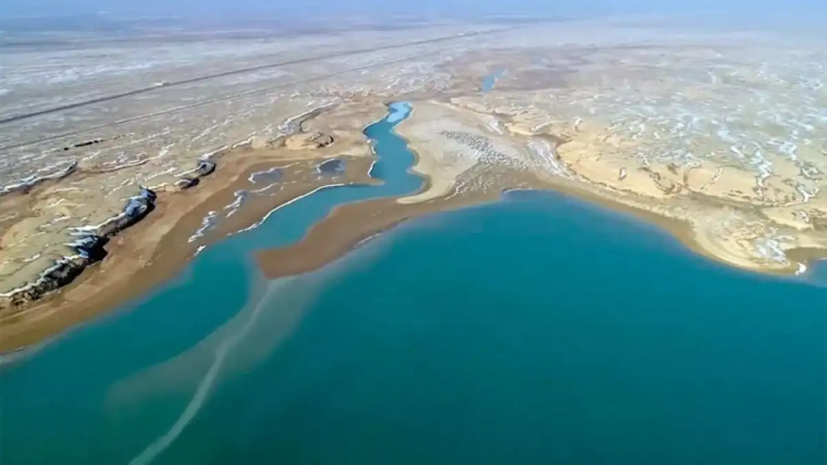 Восстановление природы Арала: Фонд Утемуратова запустил новый экопроект