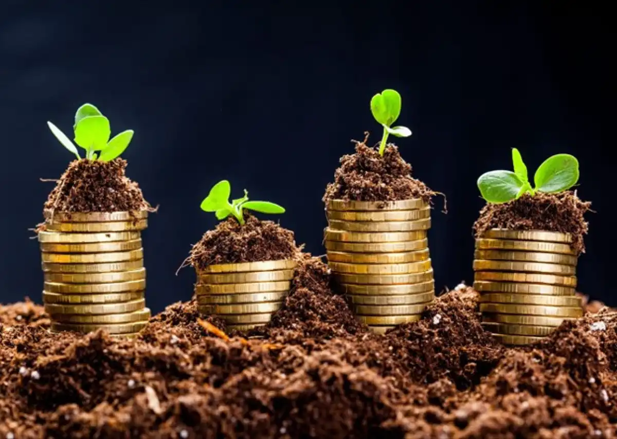 Инвестиции без страха: как начать с малого, защитить деньги от инфляции и не ошибиться