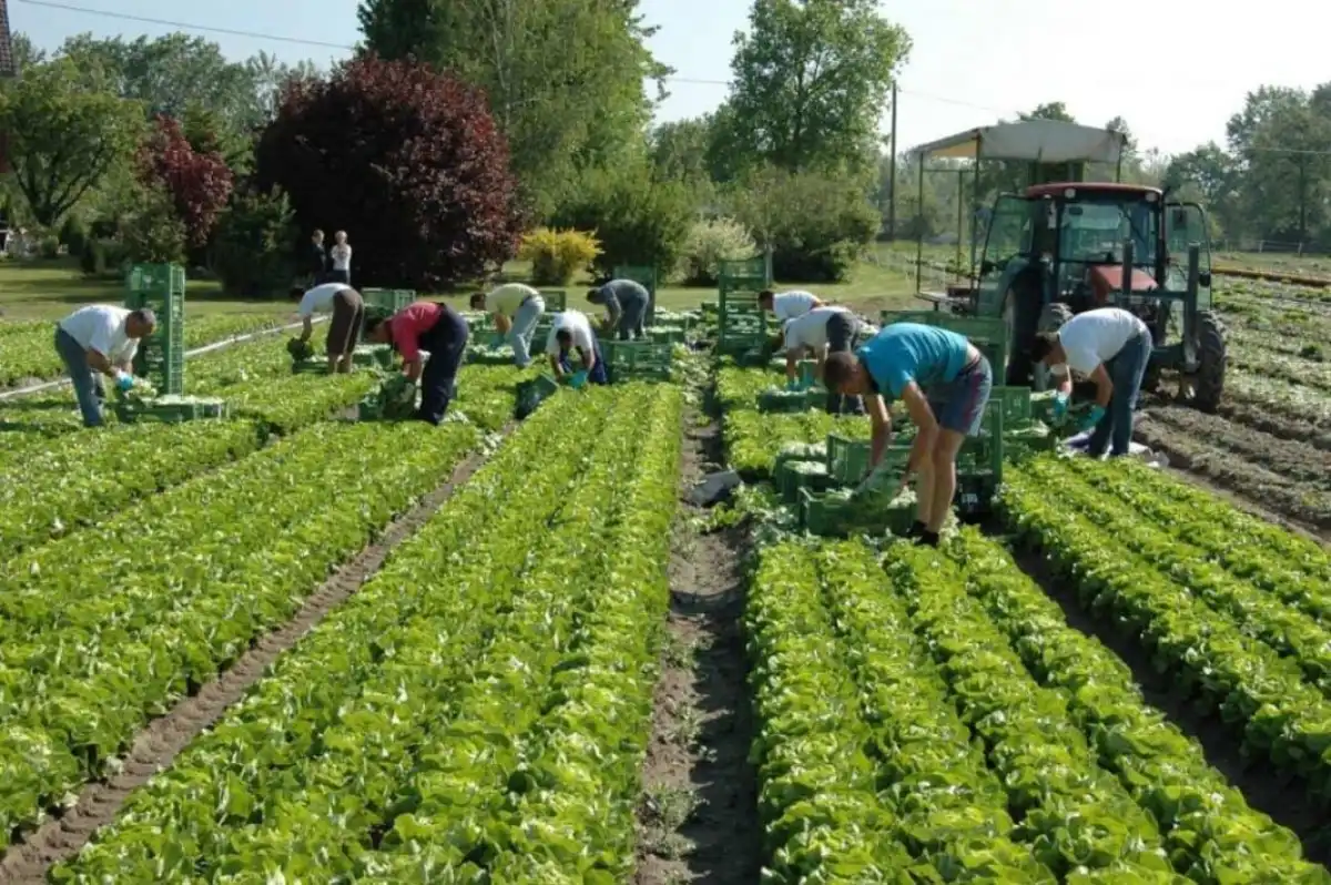 Сколько казахстанцев работают за рубежом?