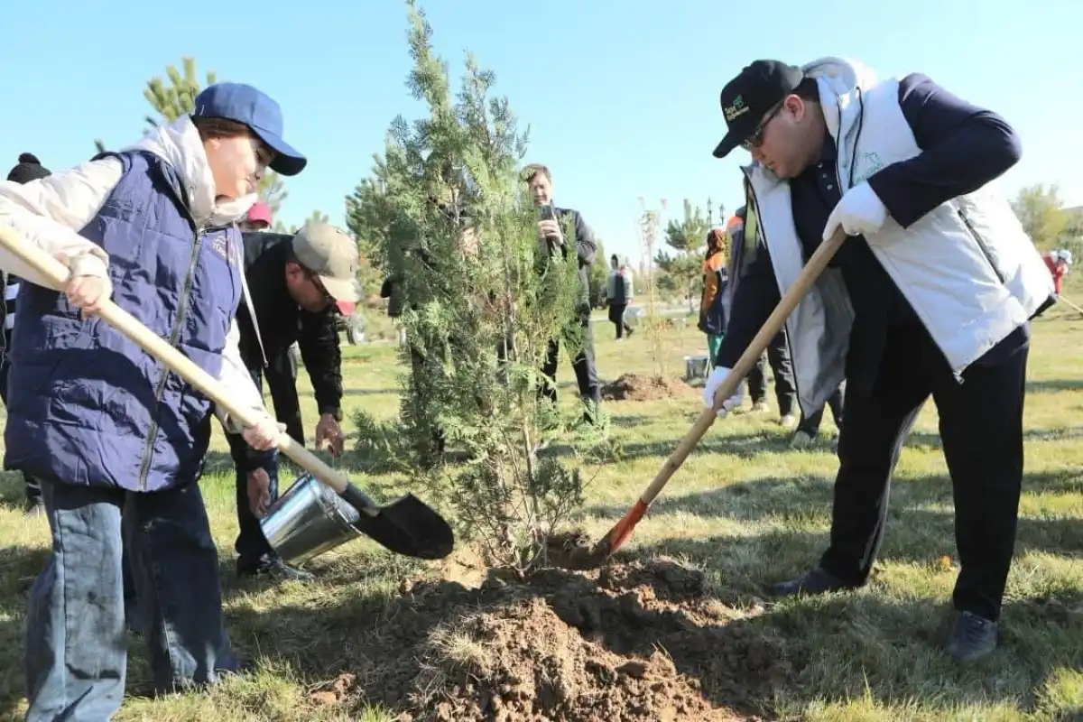 2 миллиарда деревьев: в парках Туркестана высажены осенние деревья