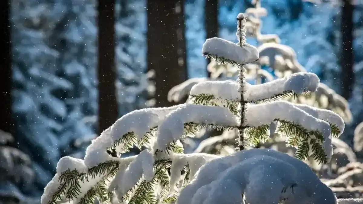 Какая погода будет сегодня в Астане?