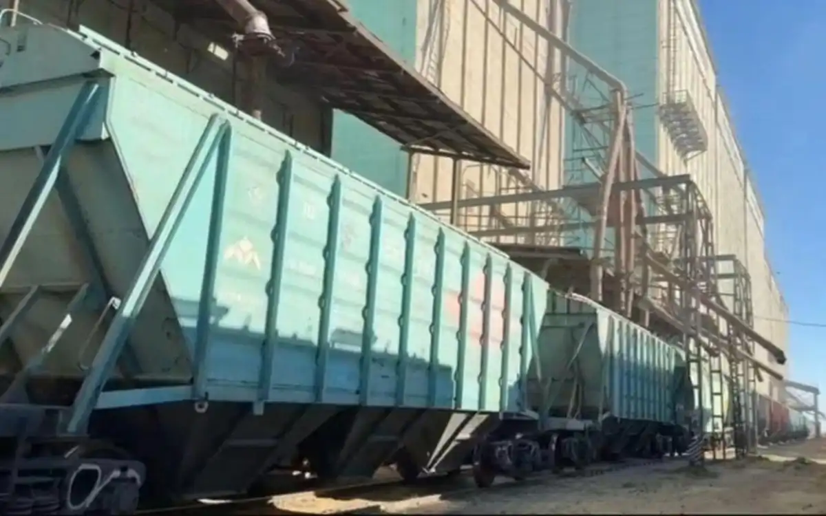 Экспорт зерна превысил 3 млн тонн — рост в ключевых направлениях