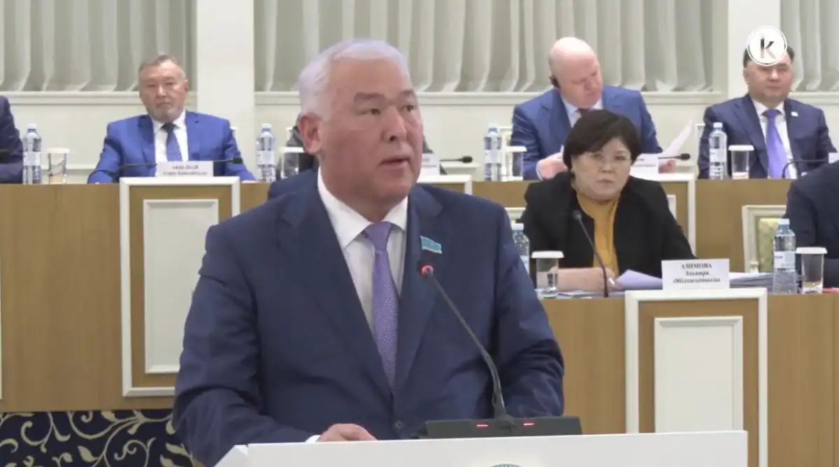 Референдум как голос народа: в Астане обсуждают смену ключевого термина Конституции