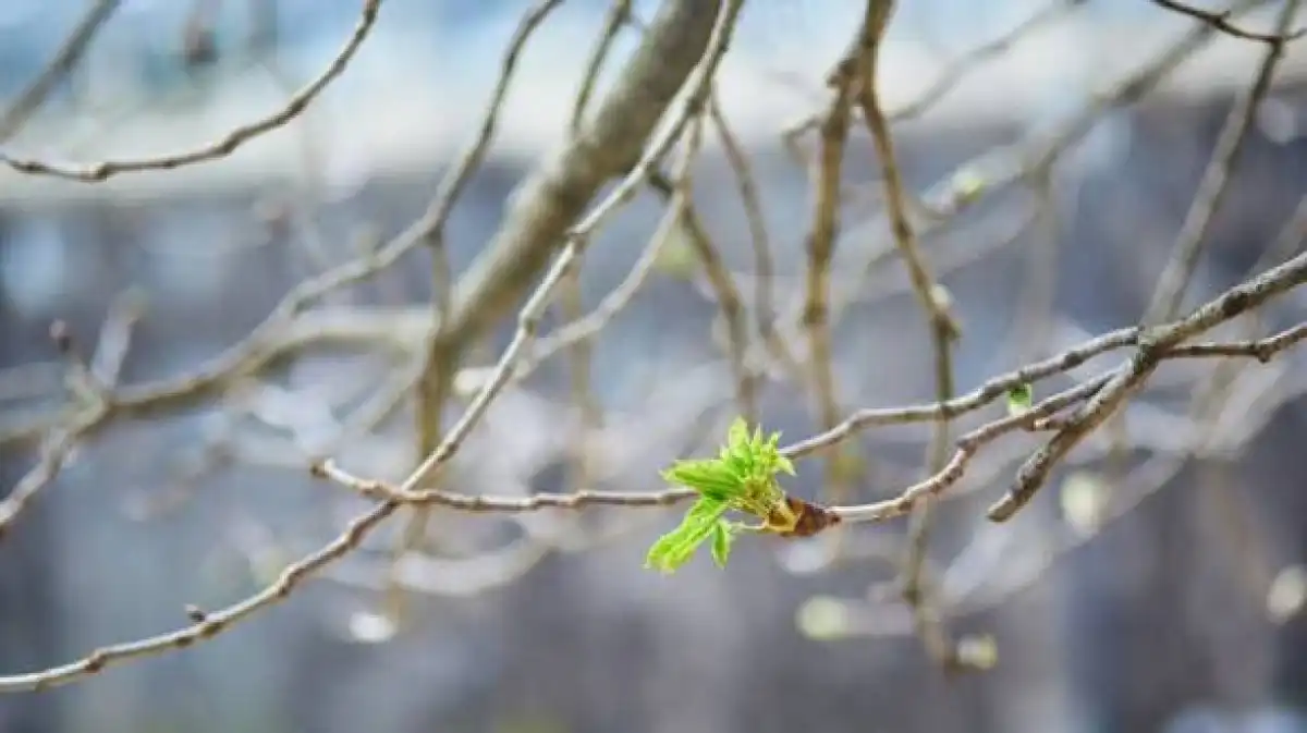 В Казахстане ожидается резкое потепление: температура поднимется до +30°C