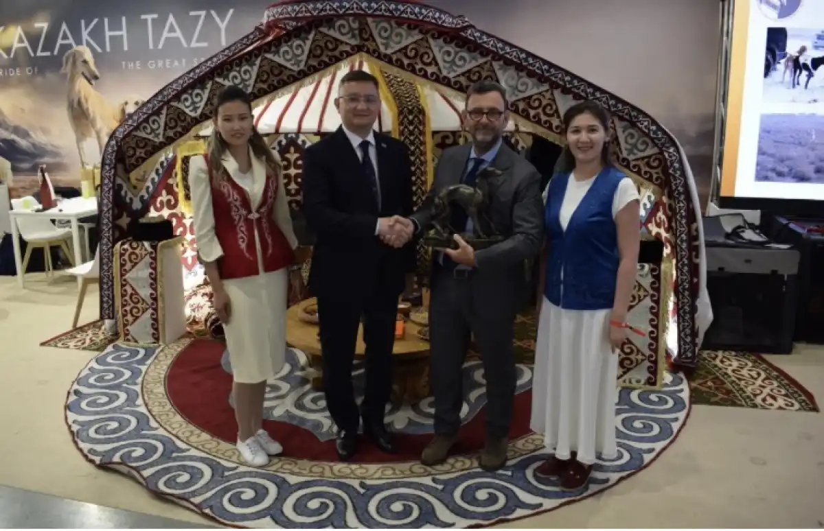 Казахский тазы триумфально представлен на World Dog Show 2026 в Болонье