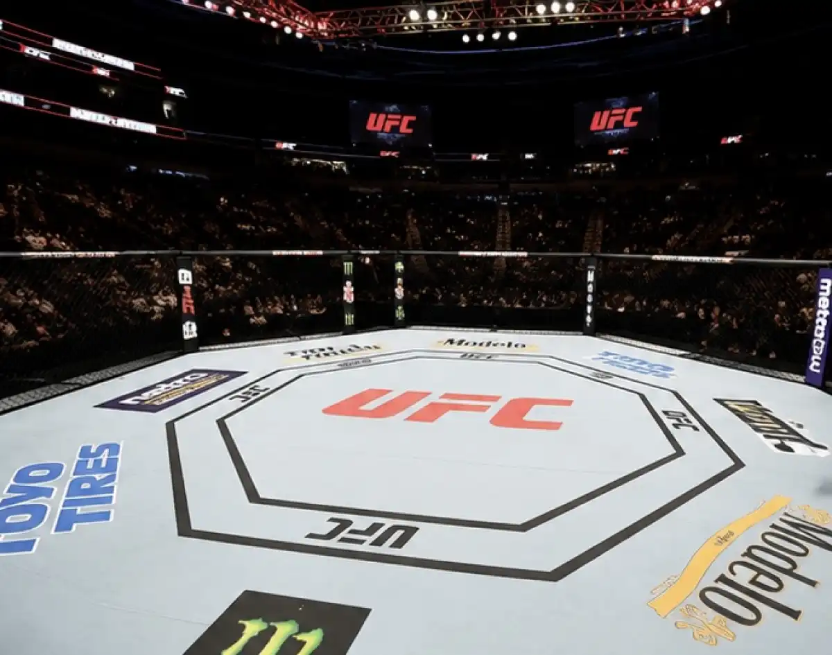 ТАСС: турнир UFC может пройти в 2027 году в Узбекистане, Казахстане, Киргизии и Грузии