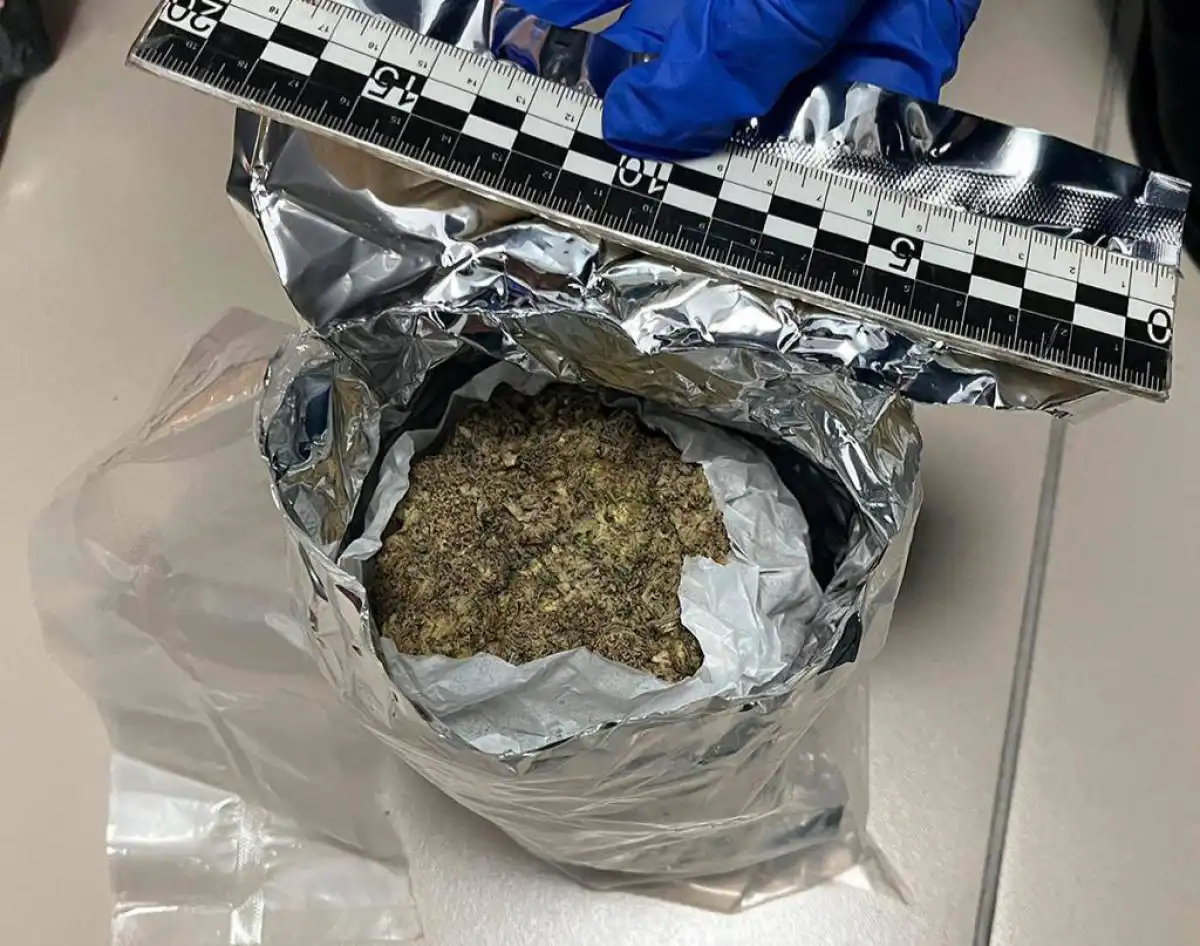 В аэропорту Алматы пресекли три попытки ввоза более 32 кг наркотиков
