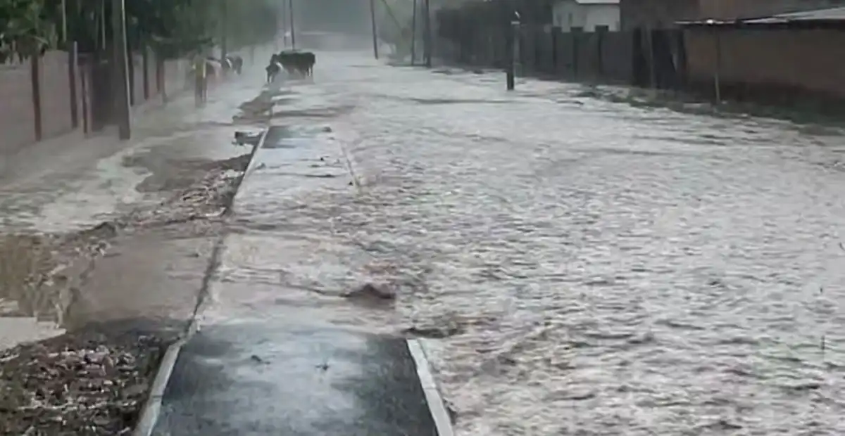 ⁠После дождей: в Туркестанской области подтопило несколько сел