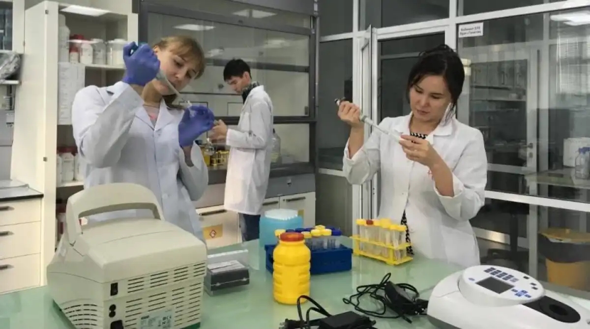 В Казахстане создали ПЦР-тест для выявления фальсификации мяса